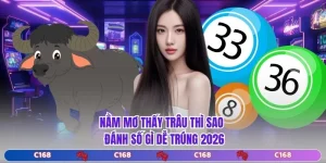 Nằm Mơ Thấy Trâu Thì Sao - Đánh Số Gì Dễ Trúng 2026