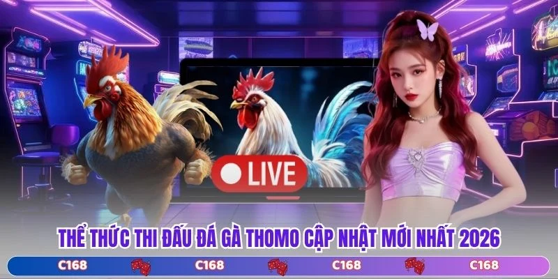 Thể thức thi đấu đá gà Thomo cập nhật mới nhất 2026